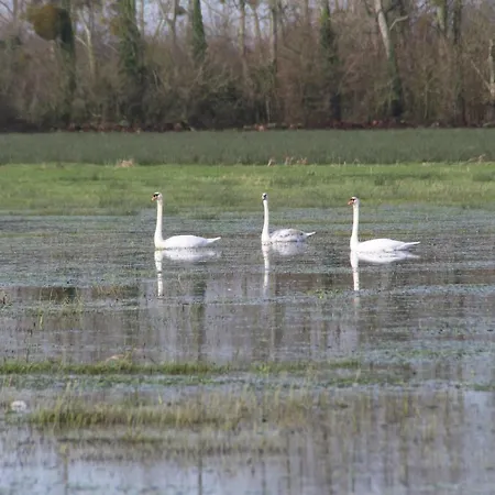 Dom wakacyjny Domaine De La Ramee