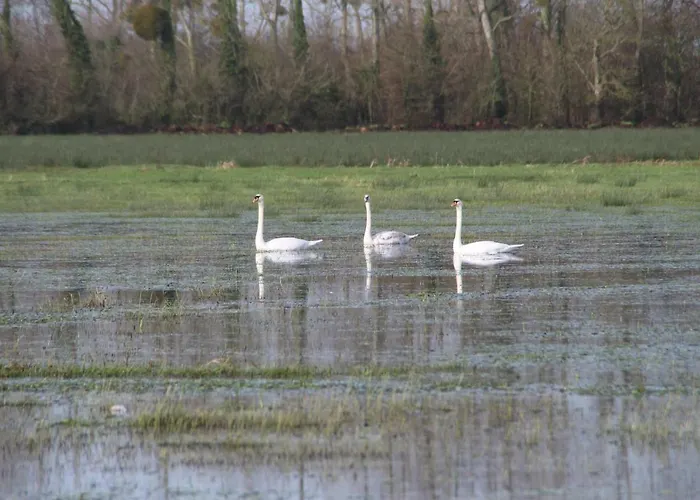 Feriehus Domaine De La Ramee