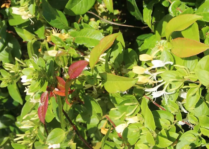 Domaine De La Ramee 펜션 Trevieres